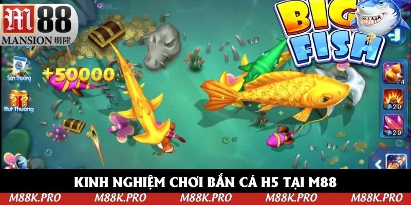 Kinh nghiệm chơi bắn cá H5 tại M88