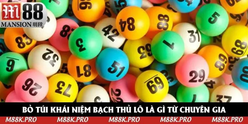 Bỏ túi khái niệm bạch thủ lô là gì từ chuyên gia Bỏ túi khái niệm bạch thủ lô là gì từ chuyên gia