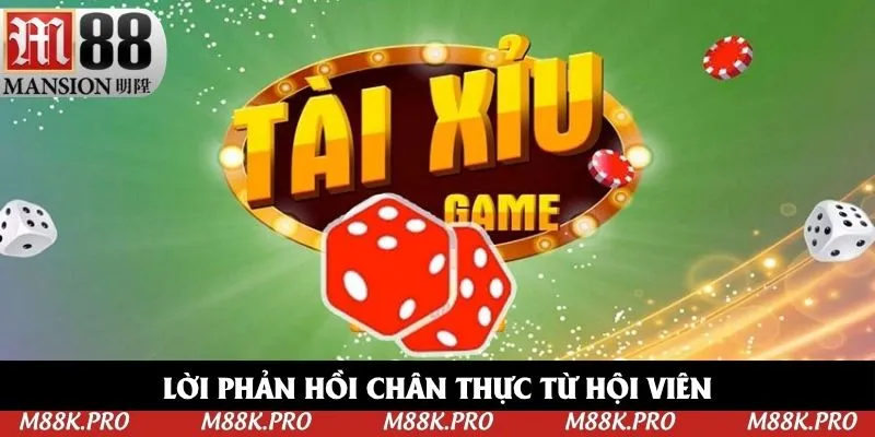Lời phản hồi chân thực từ hội viên